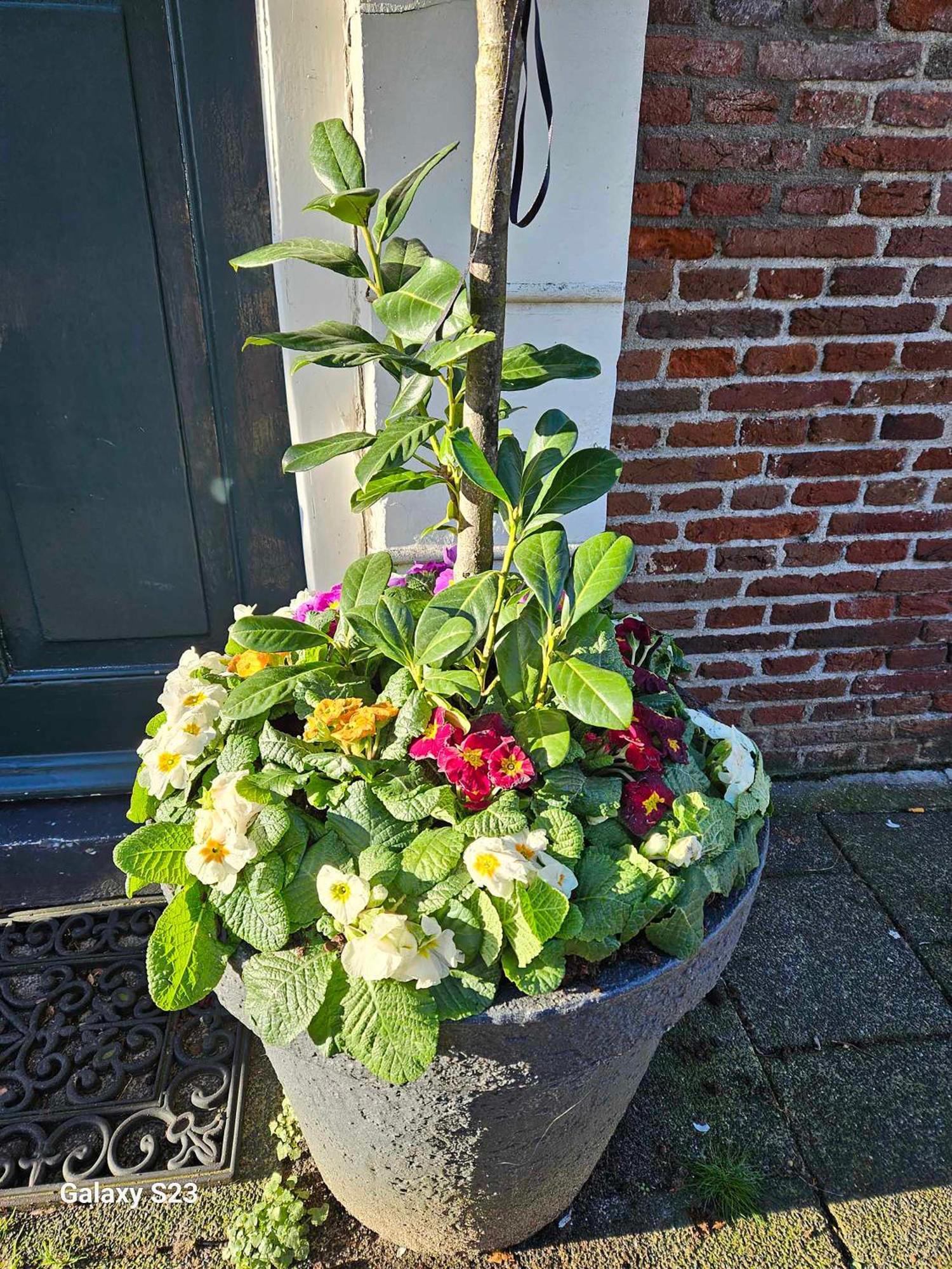 De Stadsboerderij Kampen Eksteriør bilde
